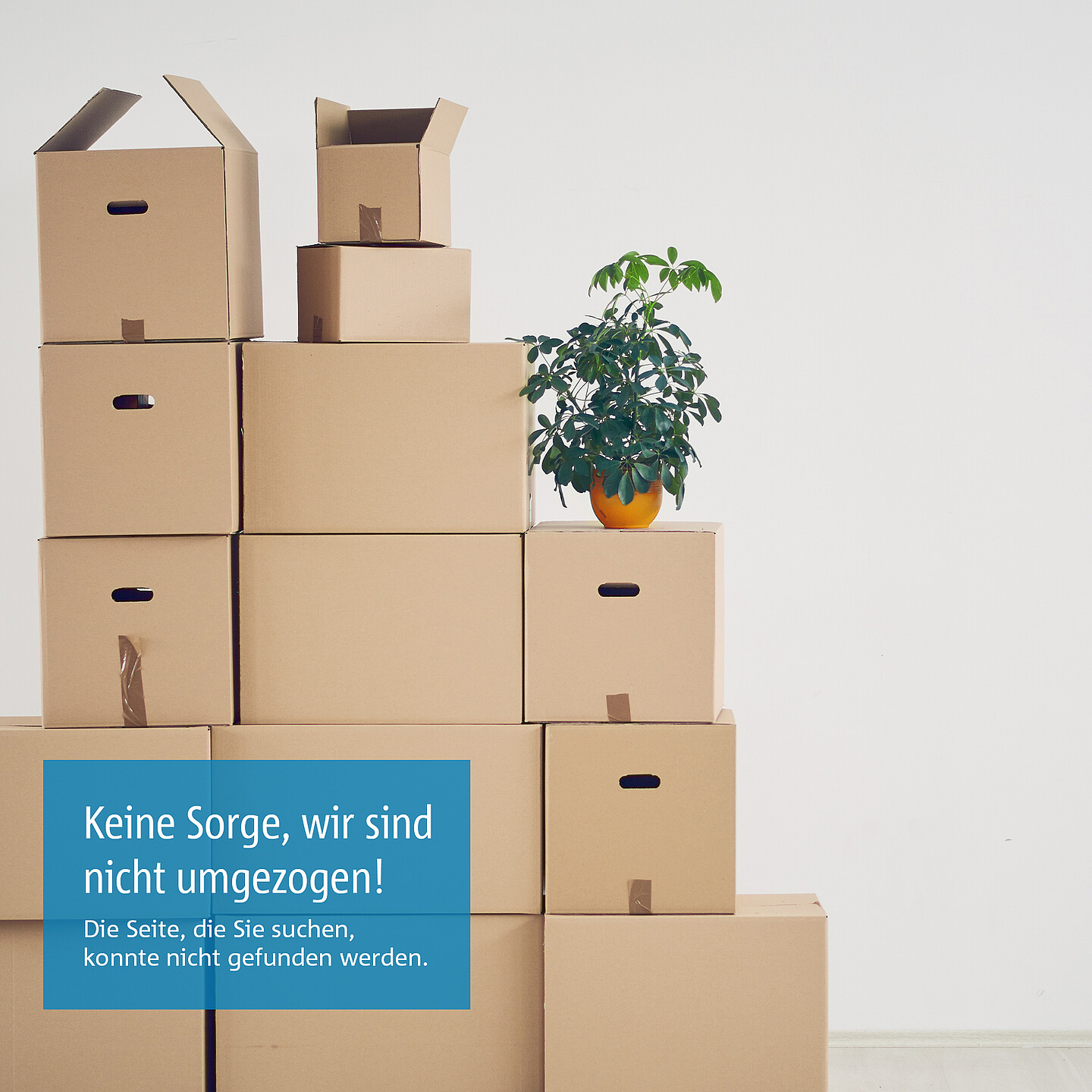 Fehler 404: Ihre Seite konnte nicht gefunden werden | BayernLabo Fehler 404: Seite nicht gefunden